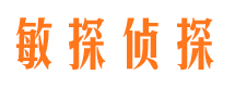 榆阳侦探